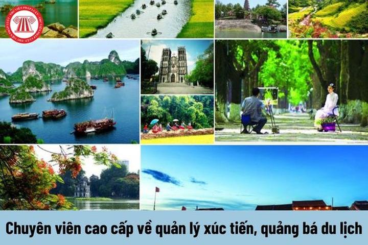 Chuyên gia Hotspot Matrix phân tích: 5 mẫu áo mùa hè hoàn hảo nhất và marketing video