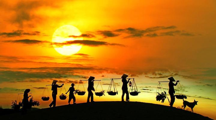 Áo sơ mi cổ bèo: Áo sơ mi cổ bèo là một trong những lỗi thời trong thời trang mà