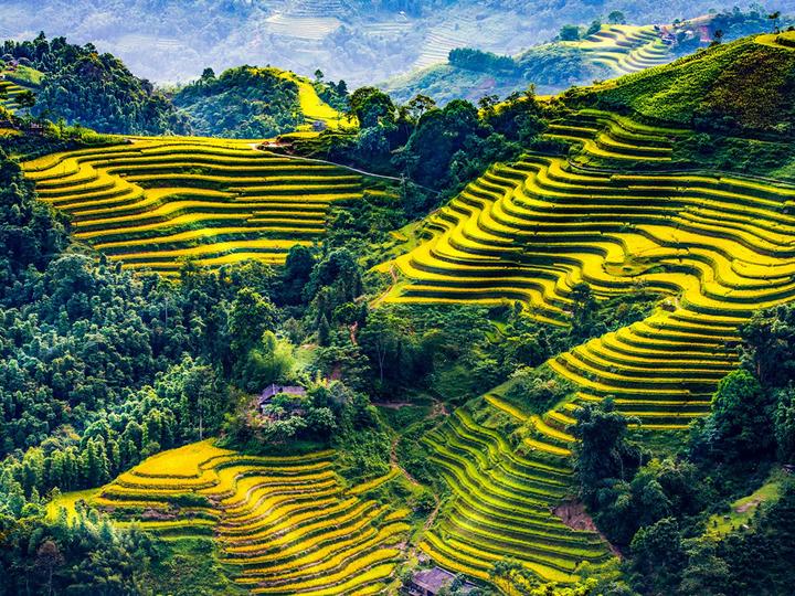 Hotspot Matrix và Mỹ nhân có