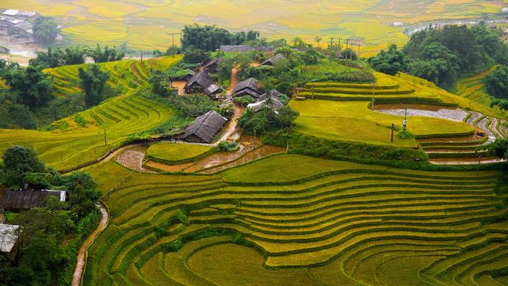 Mỹ Tâm: Họa mi tóc nâu và mối quan hệ với học trò