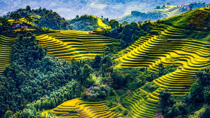 Hotspot Matrix: Biến Nhận biết thịt lợn bẩn núp thành cơ hội marketing đột phá