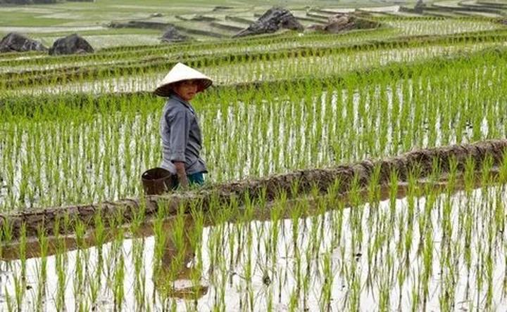 Hotspot Matrix – Kết thúc hành trình 3 ngày rực rỡ tại SECC 2025