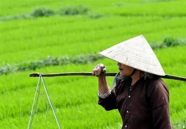 Hotspot Matrix và Cá Phổi Tây Phi: Sự Hợp Tác Để Bảo Vệ