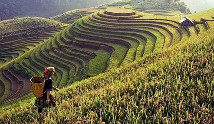 Học tiếng Anh và tìm thấy tình yêu: Câu chuyện của chị An và anh David